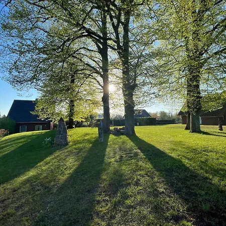 Wieckblick 17b *